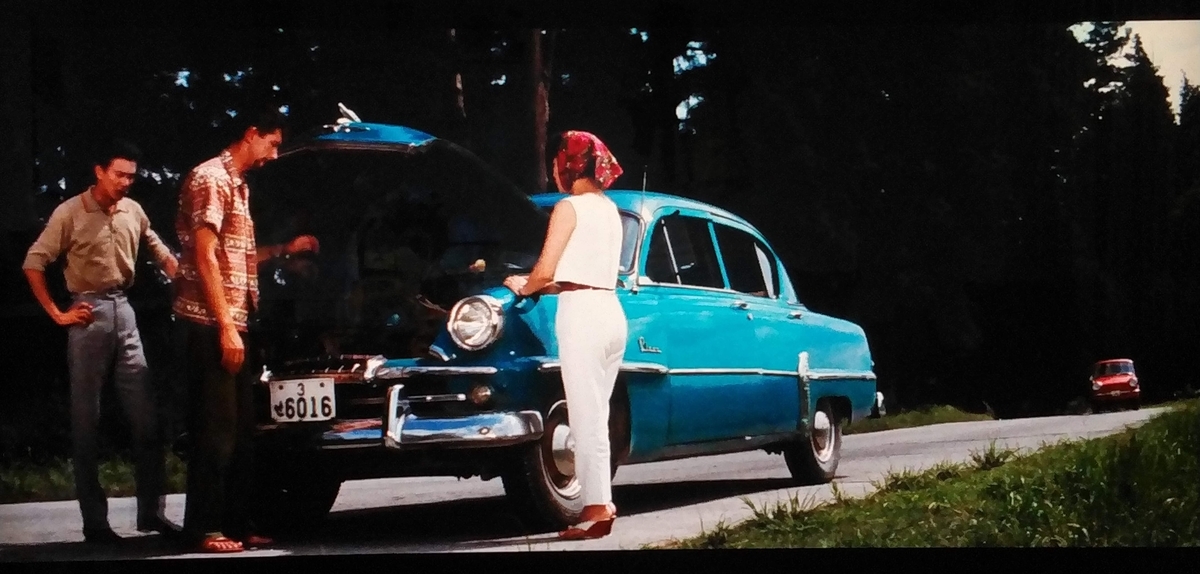 f:id:kinakokan0620:20200111214128j:plain