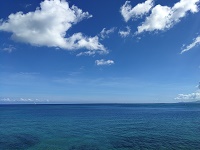 f:id:kinakomamemamama:20180805195959j:plain f:id:kinakomamemamama:20180805195959j:plain