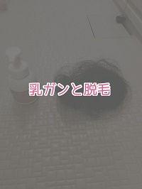f:id:kinakomamemamama:20180823085301j:plain f:id:kinakomamemamama:20180823085301j:plain