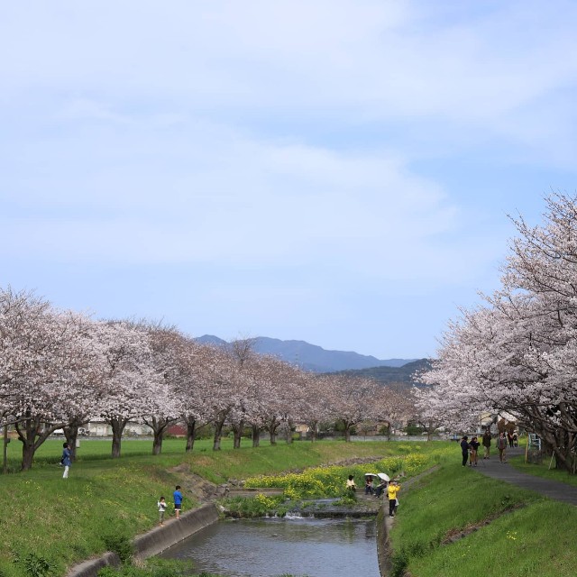 f:id:kinakomocchi:20200411211130j:image f:id:kinakomocchi:20200411211130j:image