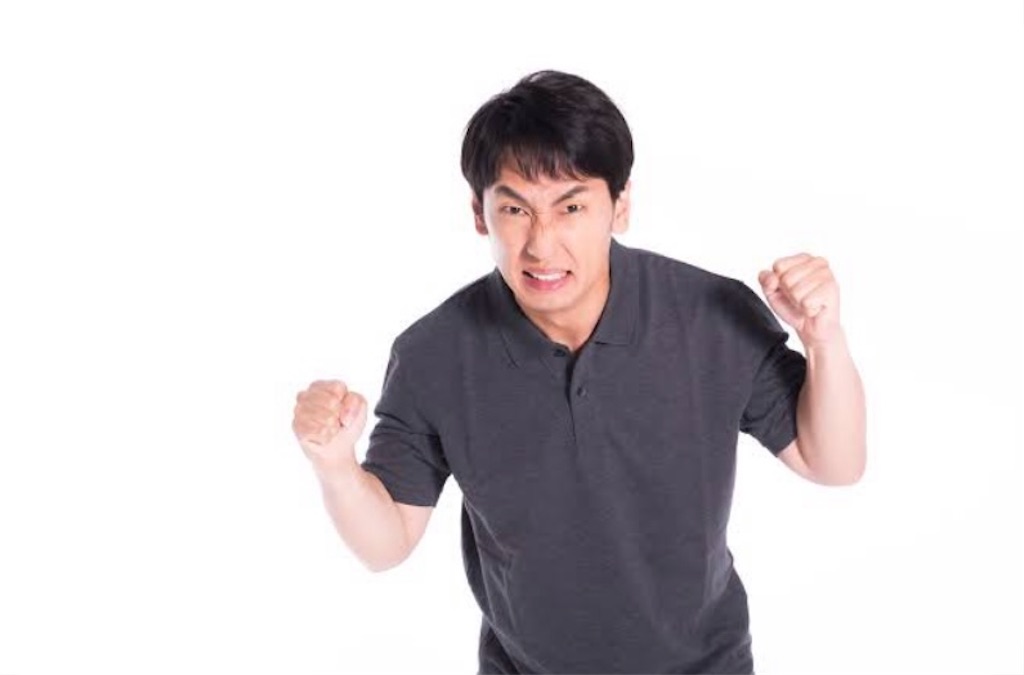 f:id:kinakomochi3406:20201119101125j:image