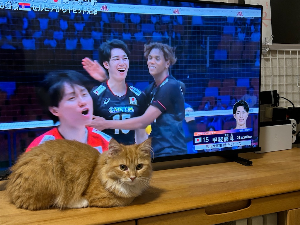 f:id:kinakosaiberian:20250617103818j:image