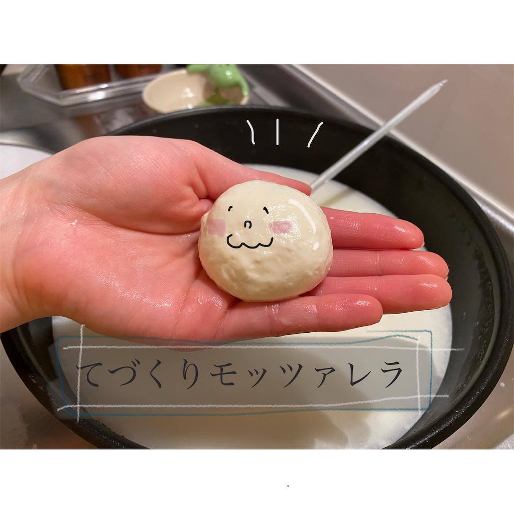 f:id:kinakosuzu:20200516034042j:image