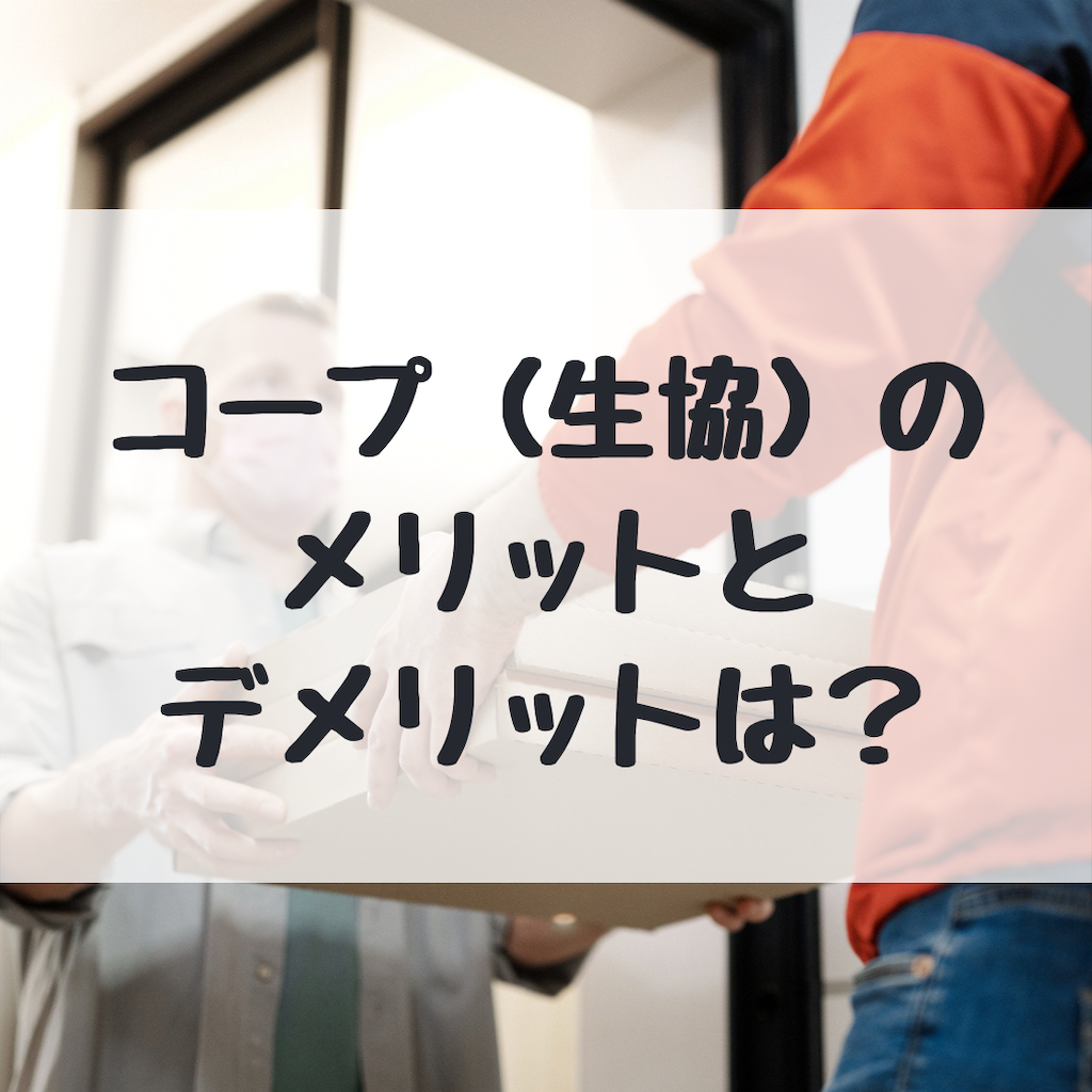 f:id:kinakott:20210102202740p:image