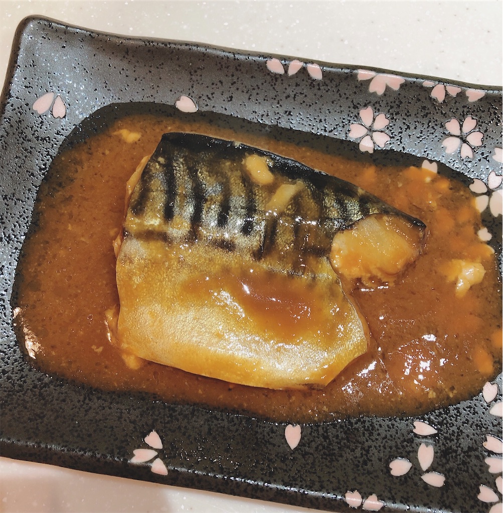 f:id:kinakott:20210519021234j:image
