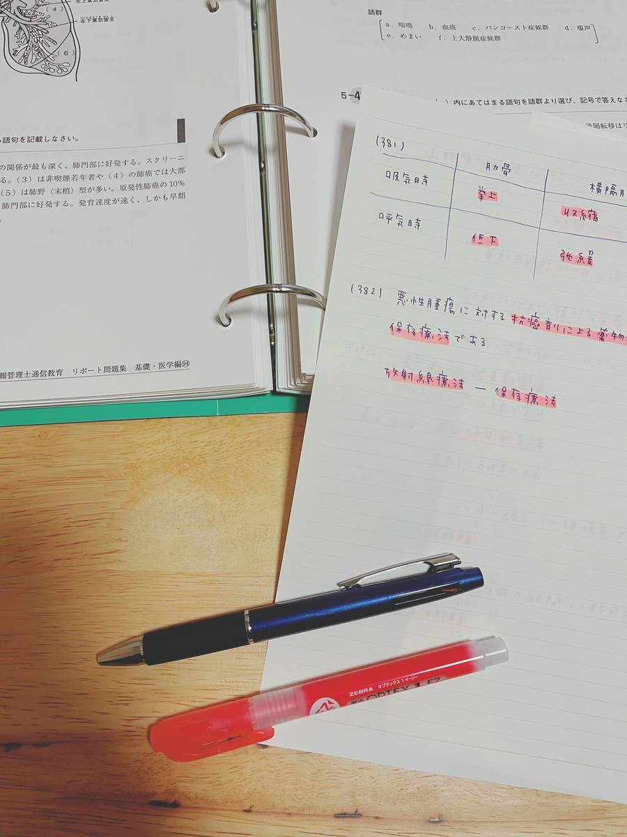 f:id:kinana83:20210206231658j:plain