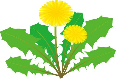 f:id:kinandun:20170323185907j:image f:id:kinandun:20170323185907j:image
