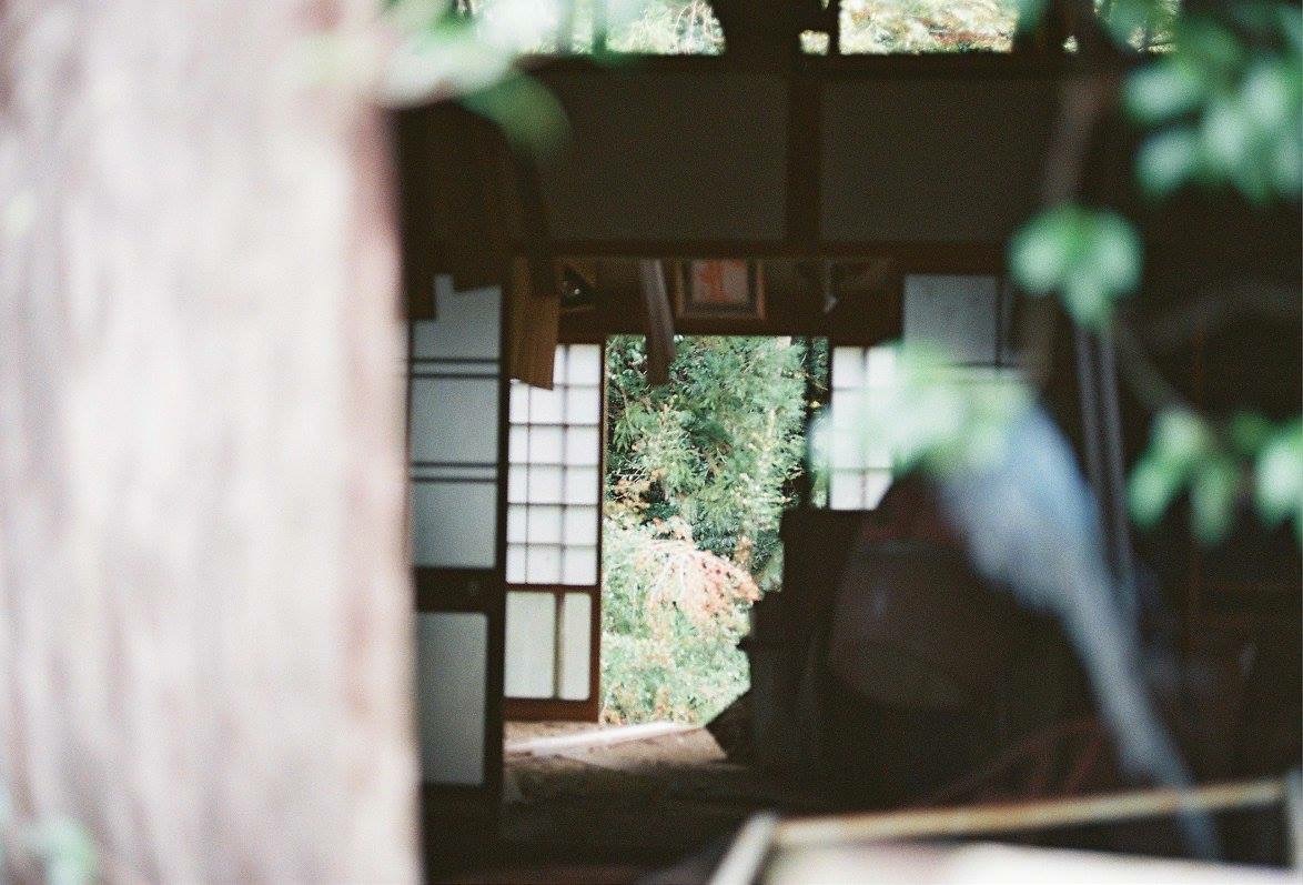 f:id:kinchaaan:20161011211415j:image f:id:kinchaaan:20161011211415j:image