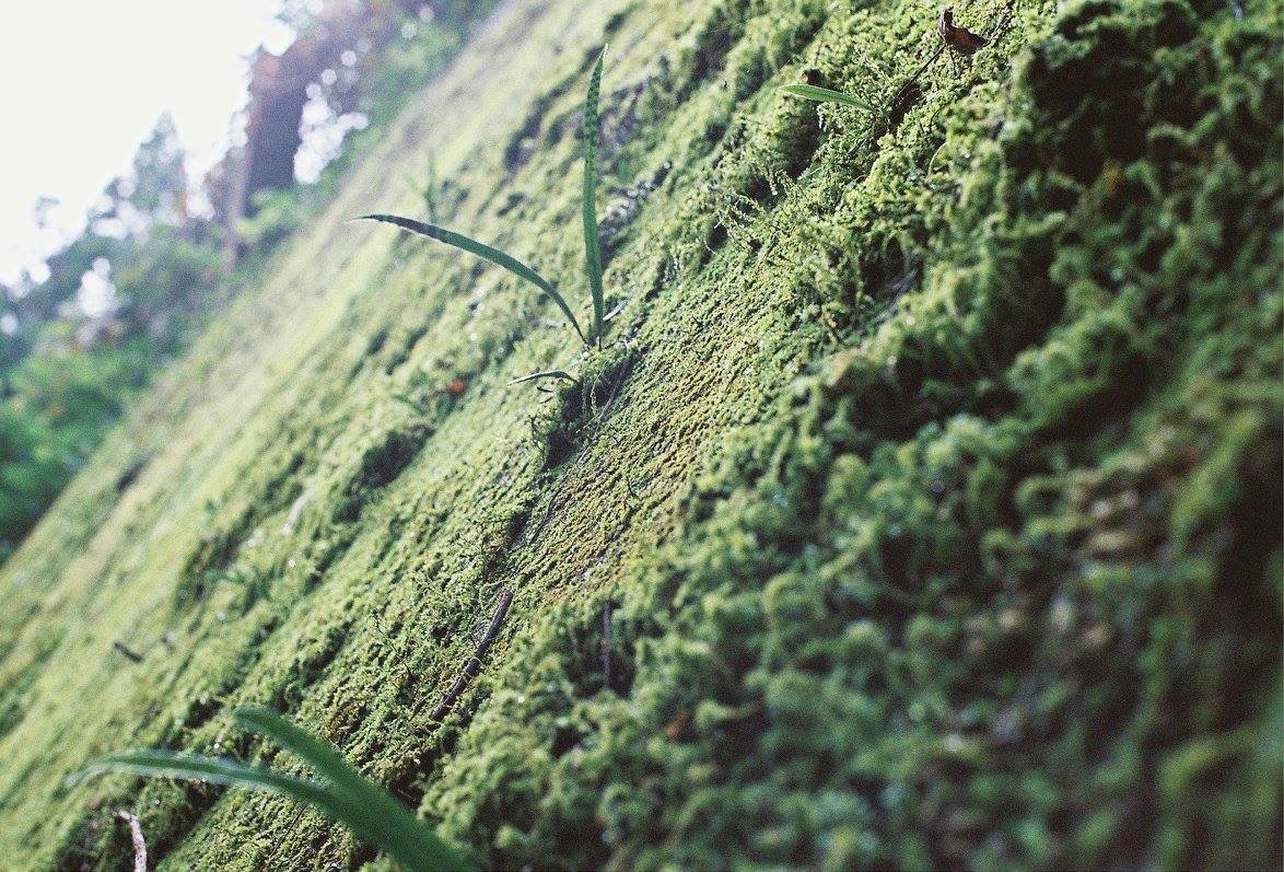 f:id:kinchaaan:20161011211734j:image f:id:kinchaaan:20161011211734j:image