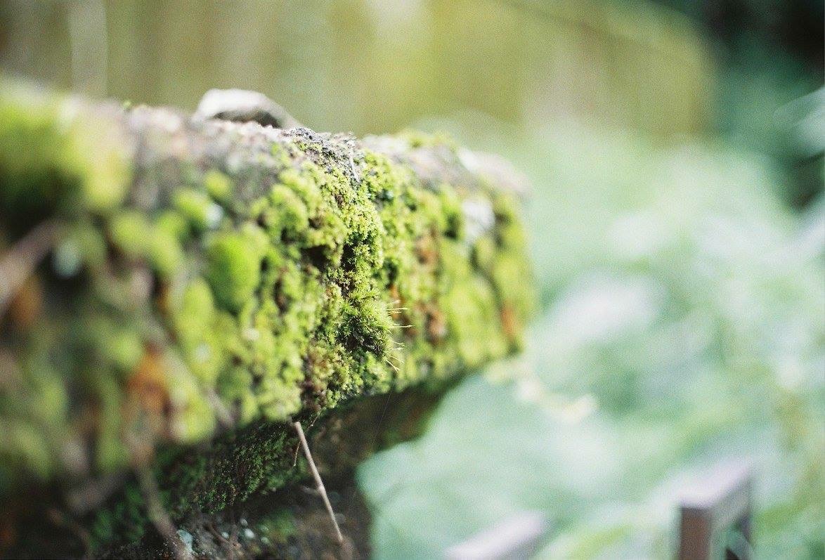 f:id:kinchaaan:20161011211746j:image f:id:kinchaaan:20161011211746j:image