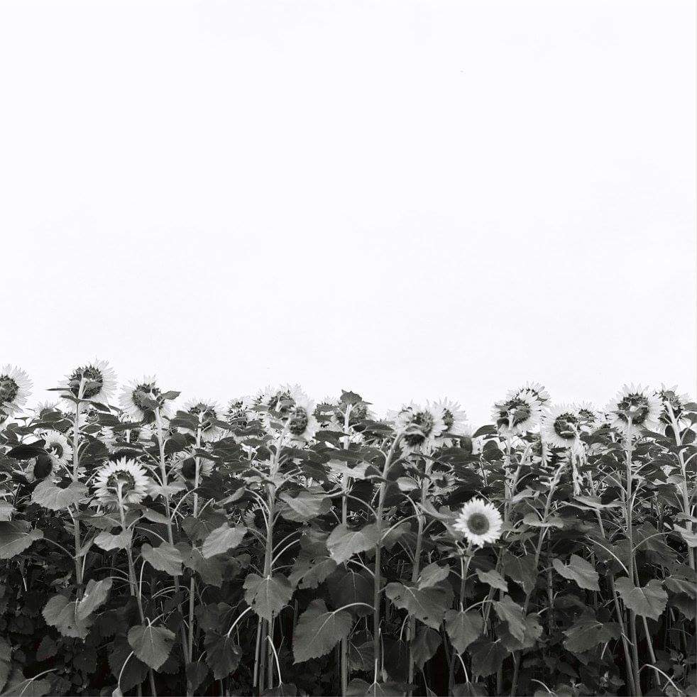 f:id:kinchaaan:20170905223944j:plain f:id:kinchaaan:20170905223944j:plain