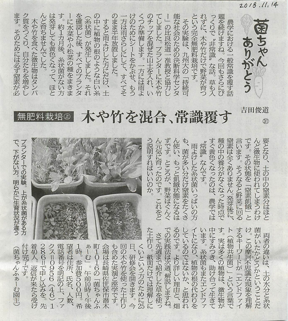 f:id:kinchanfarm:20190112060351j:plain