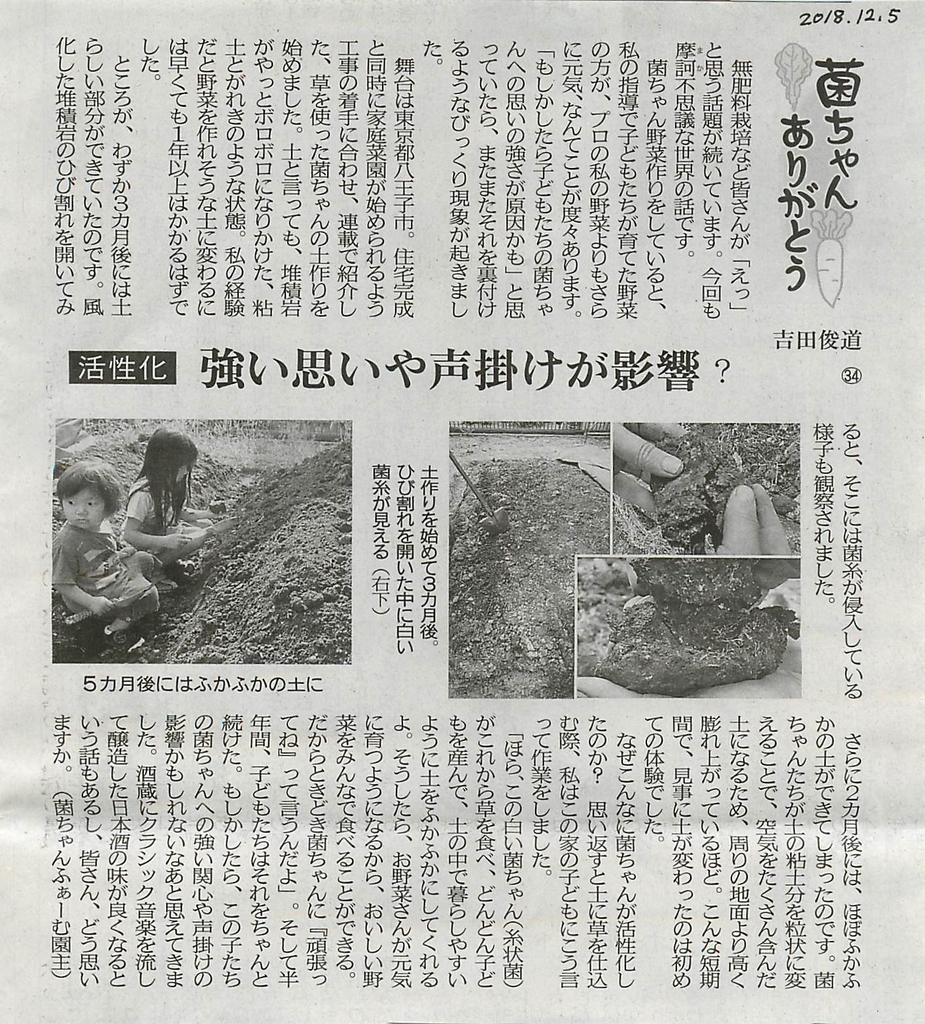 f:id:kinchanfarm:20190201201230j:plain f:id:kinchanfarm:20190201201230j:plain
