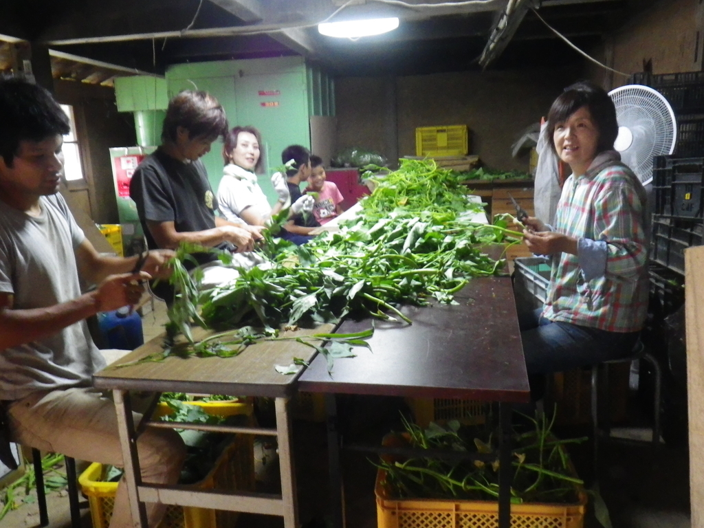 f:id:kinchanfarm:20190228073141j:plain f:id:kinchanfarm:20190228073141j:plain