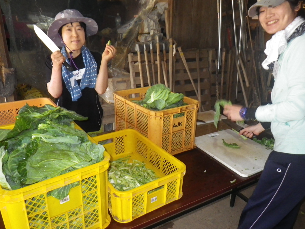 f:id:kinchanfarm:20190228073625j:plain f:id:kinchanfarm:20190228073625j:plain