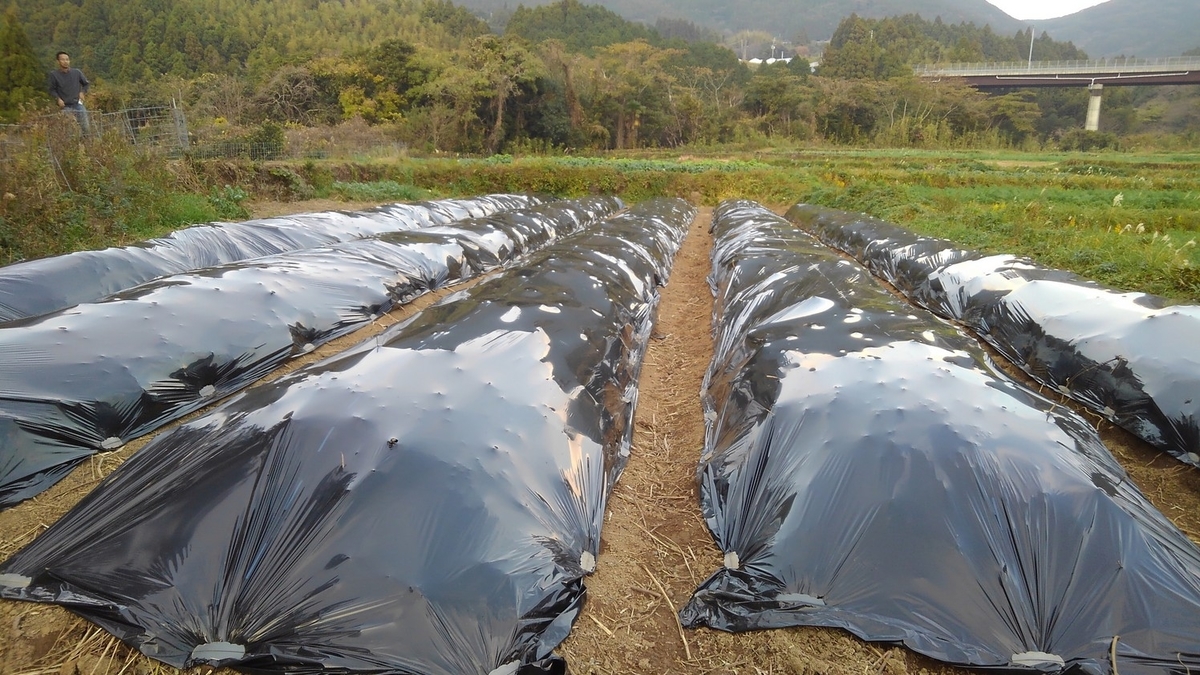 f:id:kinchanfarm:20191217073430j:plain