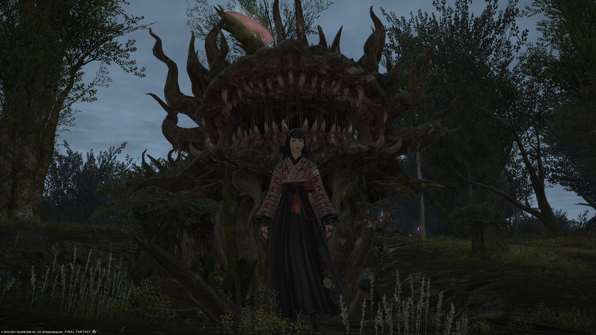 f:id:kinchanfv67:20210210204521p:plain