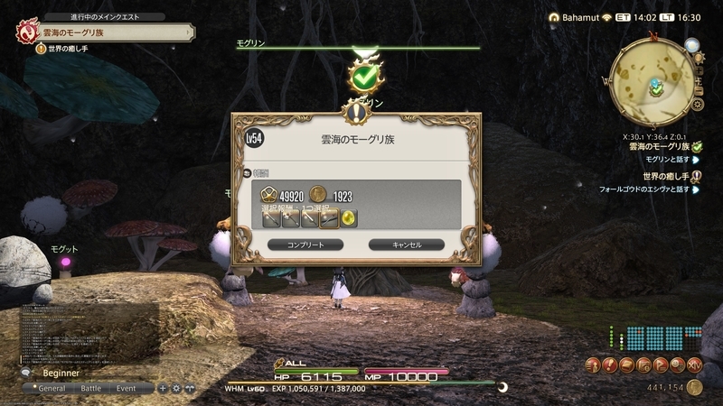 f:id:kinchanfv67:20220205191456j:plain