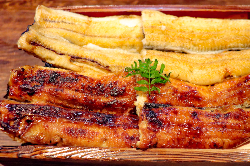 f:id:kindai-shiori:20210519151212j:plain