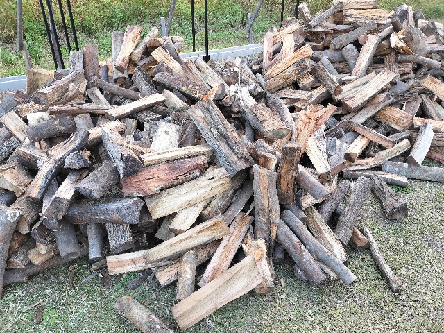 f:id:kindling:20231102141409j:image