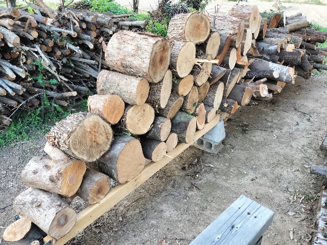 f:id:kindling:20231102141501j:image