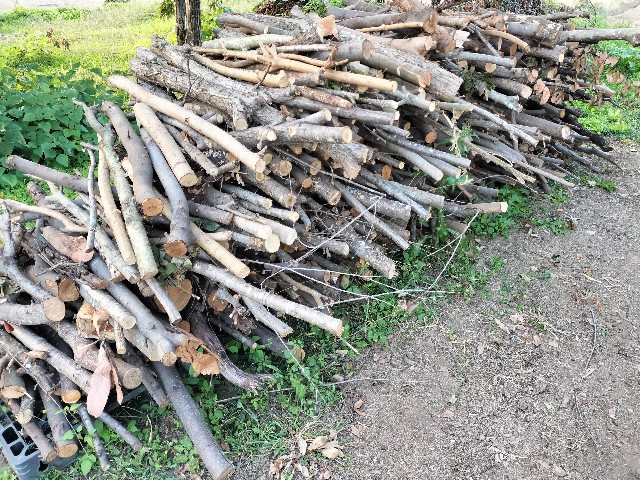 f:id:kindling:20231102141512j:image