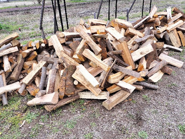 f:id:kindling:20240409212005j:image