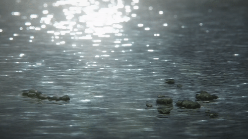 f:id:kinekun:20161128021543g:plain