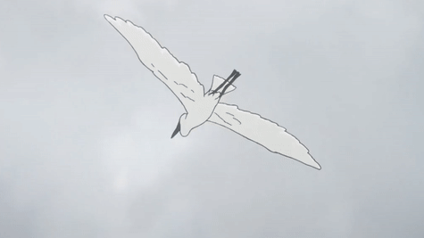 f:id:kinekun:20161128021830g:plain