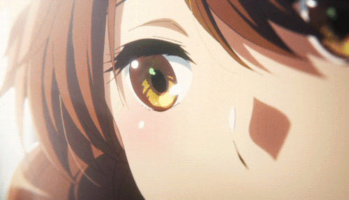 f:id:kinekun:20161212025321g:plain