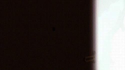 f:id:kinekun:20170121035818g:plain