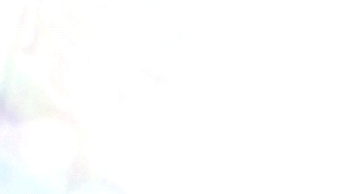 冴えない彼女の育てかた 11 Ed 豚のメモ帳 冴えない彼女の育てかた 11 Ed 豚のメモ帳