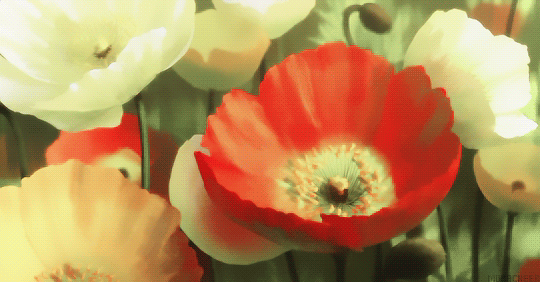 f:id:kinekun:20171022175123g:plain