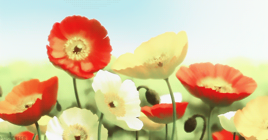 f:id:kinekun:20171022175234g:plain