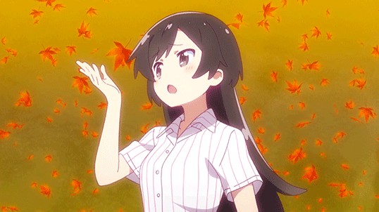 f:id:kinekun:20190214114035g:plain