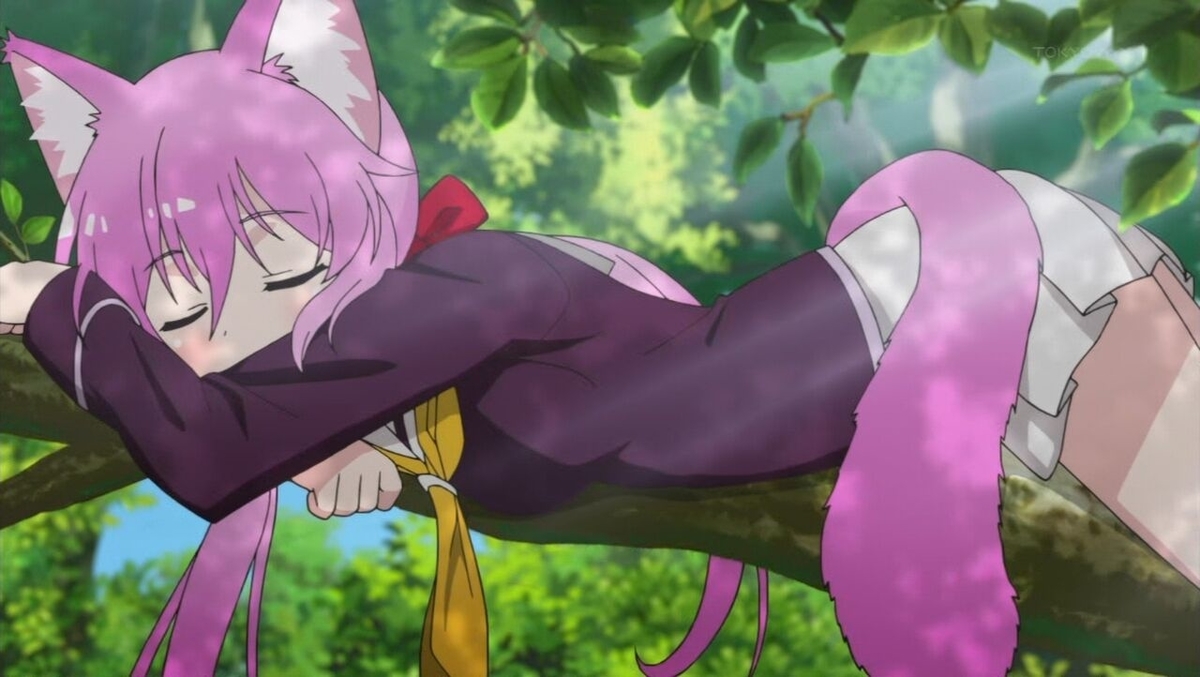 群れなせ シートン学園 6話 家猫とパンダ 豚のメモ帳 群れなせ シートン学園 6話 家猫とパンダ 豚のメモ帳