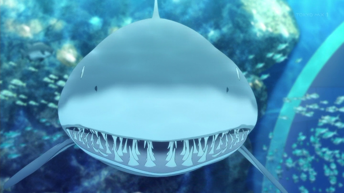 f:id:kinekun:20211114054503j:plain