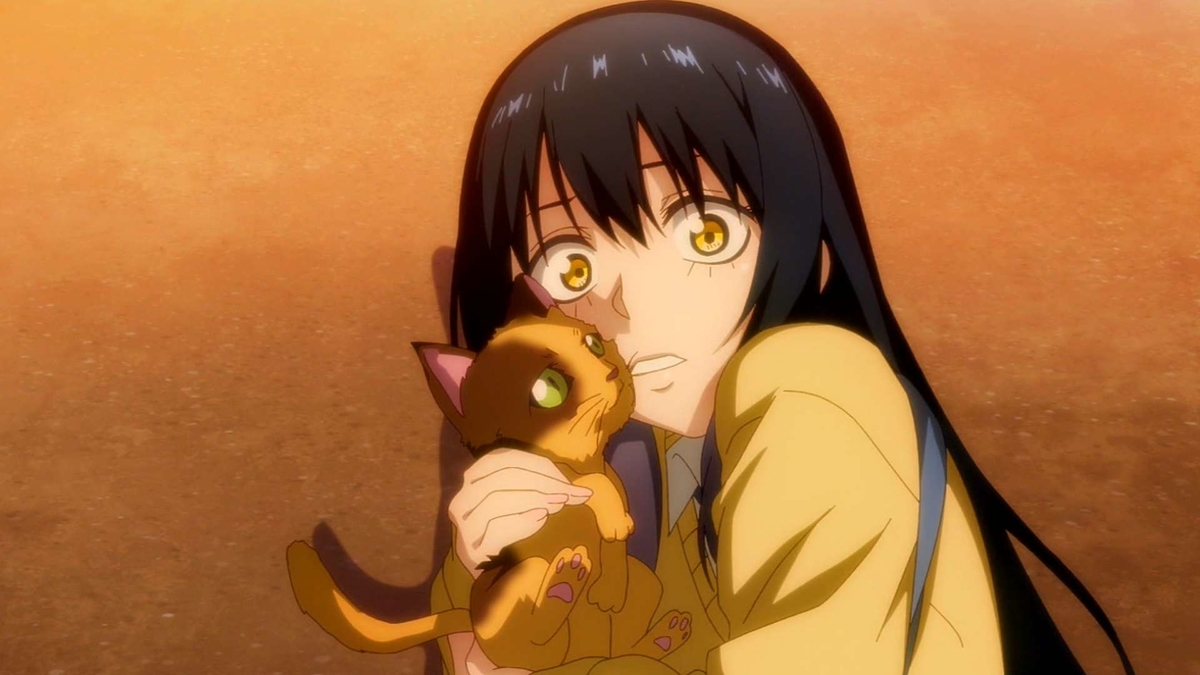 f:id:kinekun:20211223012827j:plain