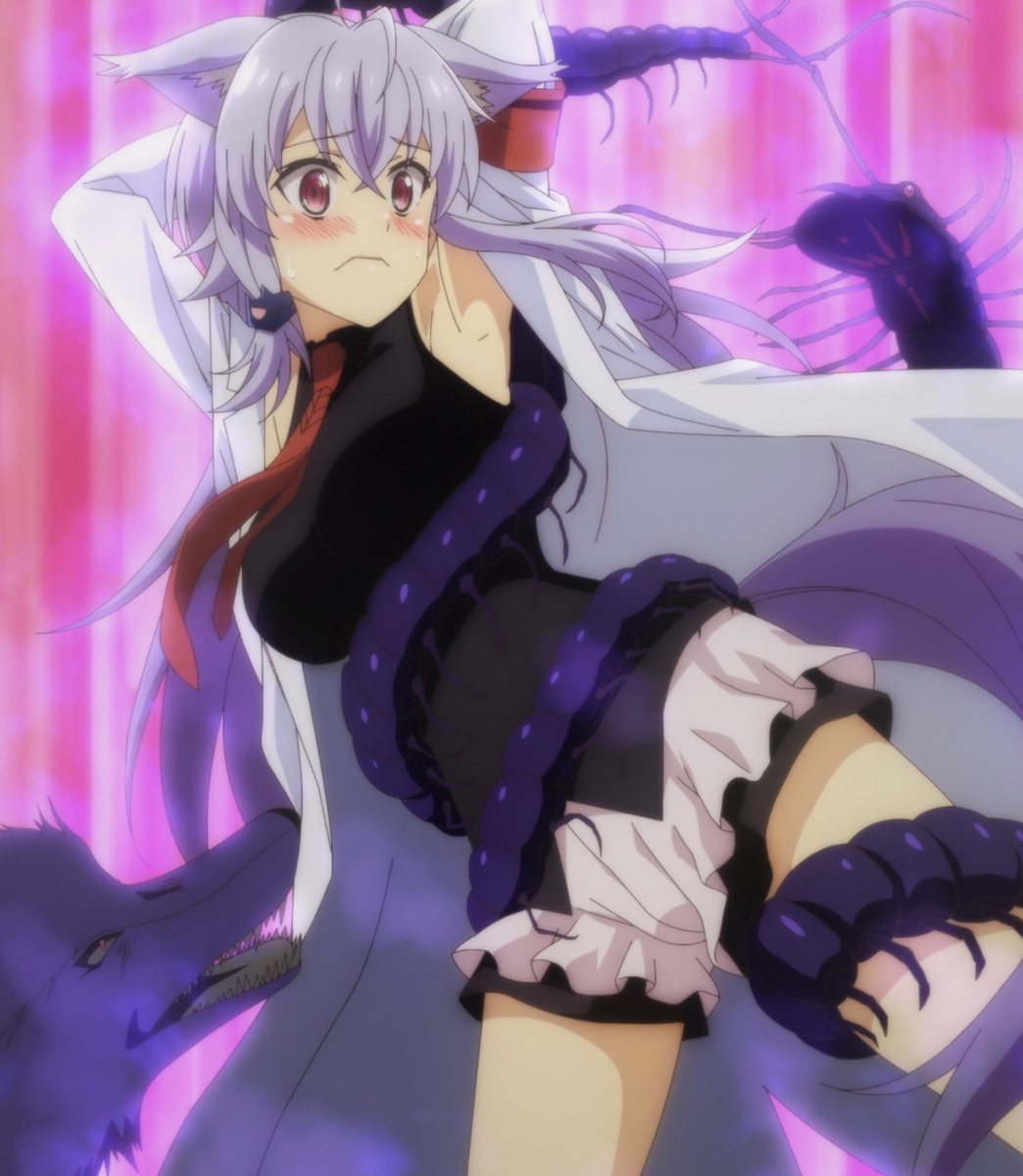 f:id:kinekun:20220209004002j:plain