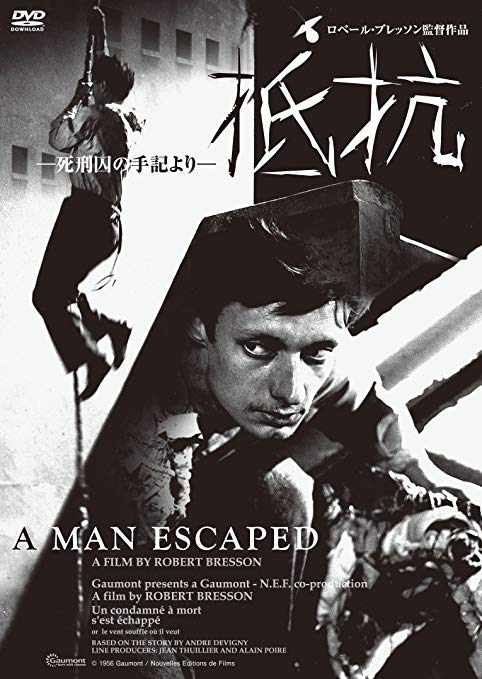 f:id:kinemajungle:20190623175851j:plain