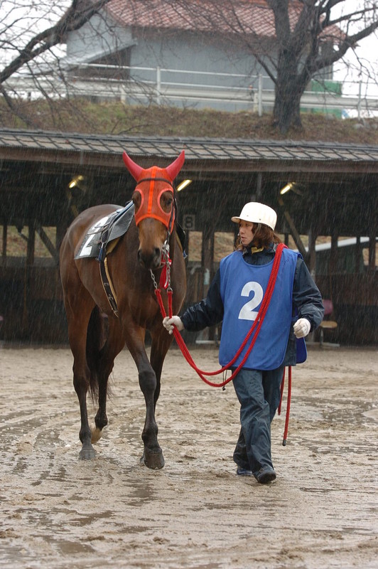 f:id:king-biscuit:20060220135403j:image