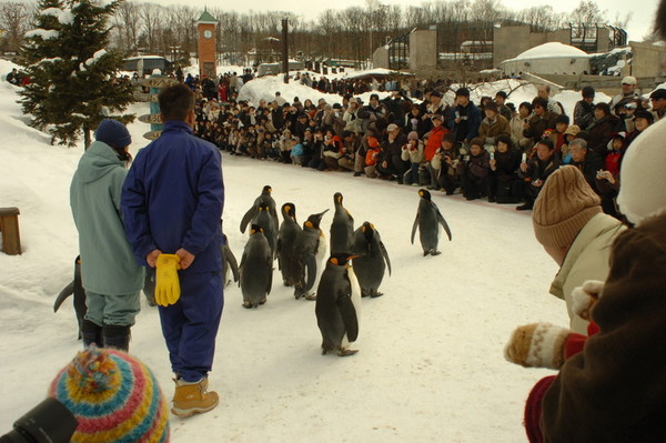 f:id:king-biscuit:20060304113114j:image f:id:king-biscuit:20060304113114j:image