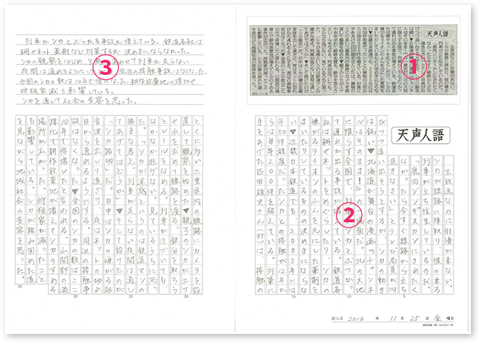 f:id:king-biscuit:20210620203141j:plain