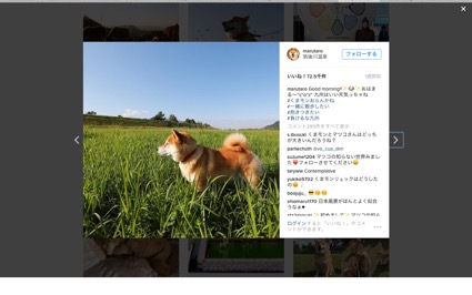 f:id:king-k-b-2424:20161113140130j:plain