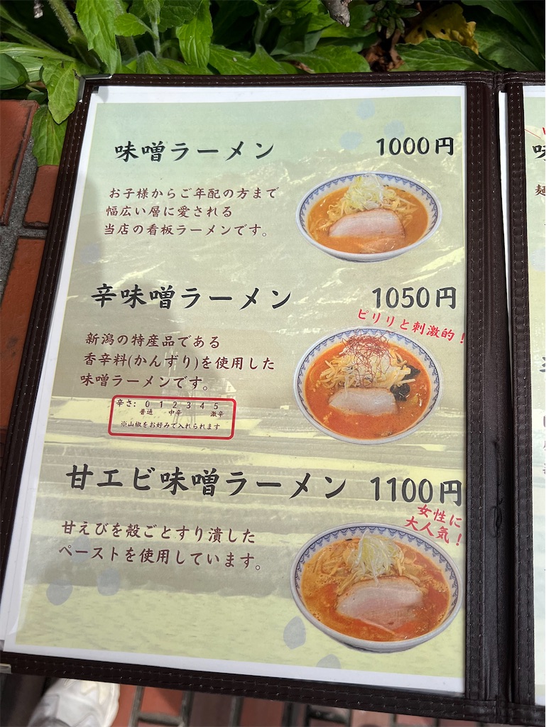 f:id:king-masatoshi:20250329072839j:image