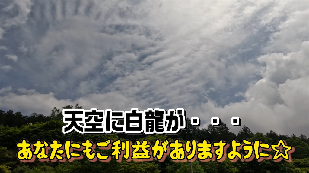 f:id:king-masatoshi:20250531215852j:image