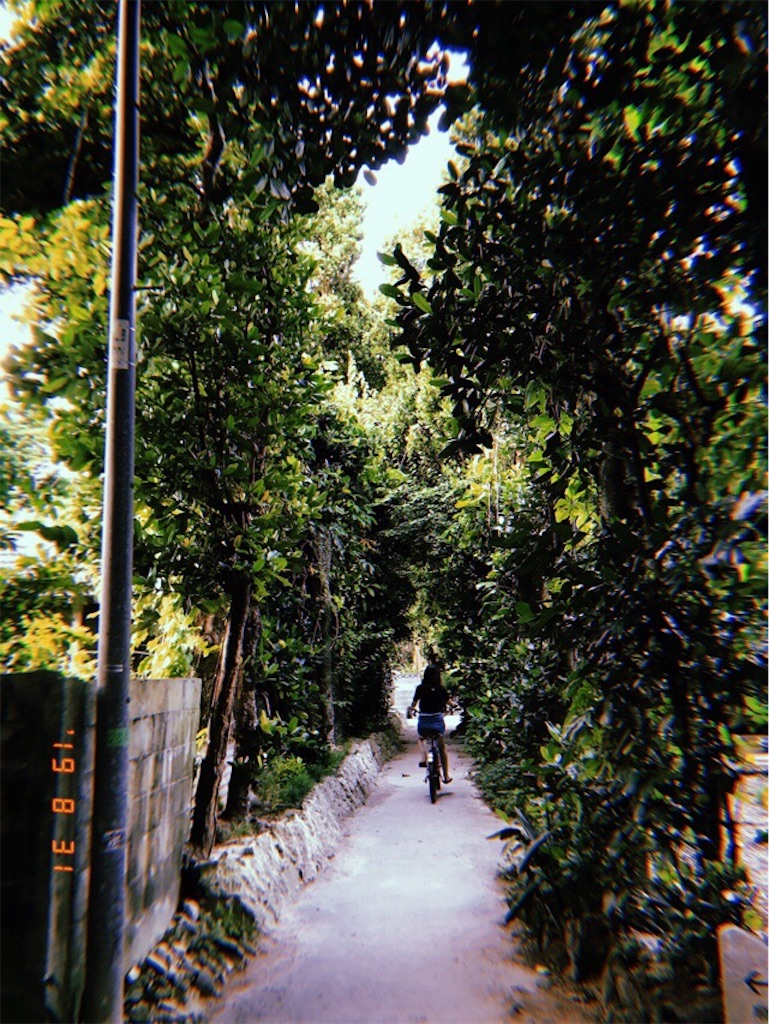 f:id:king05:20190909184506j:image f:id:king05:20190909184506j:image