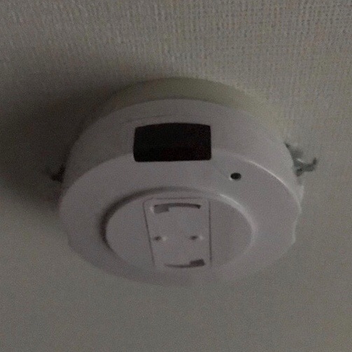 f:id:king05:20200409190250j:image f:id:king05:20200409190250j:image