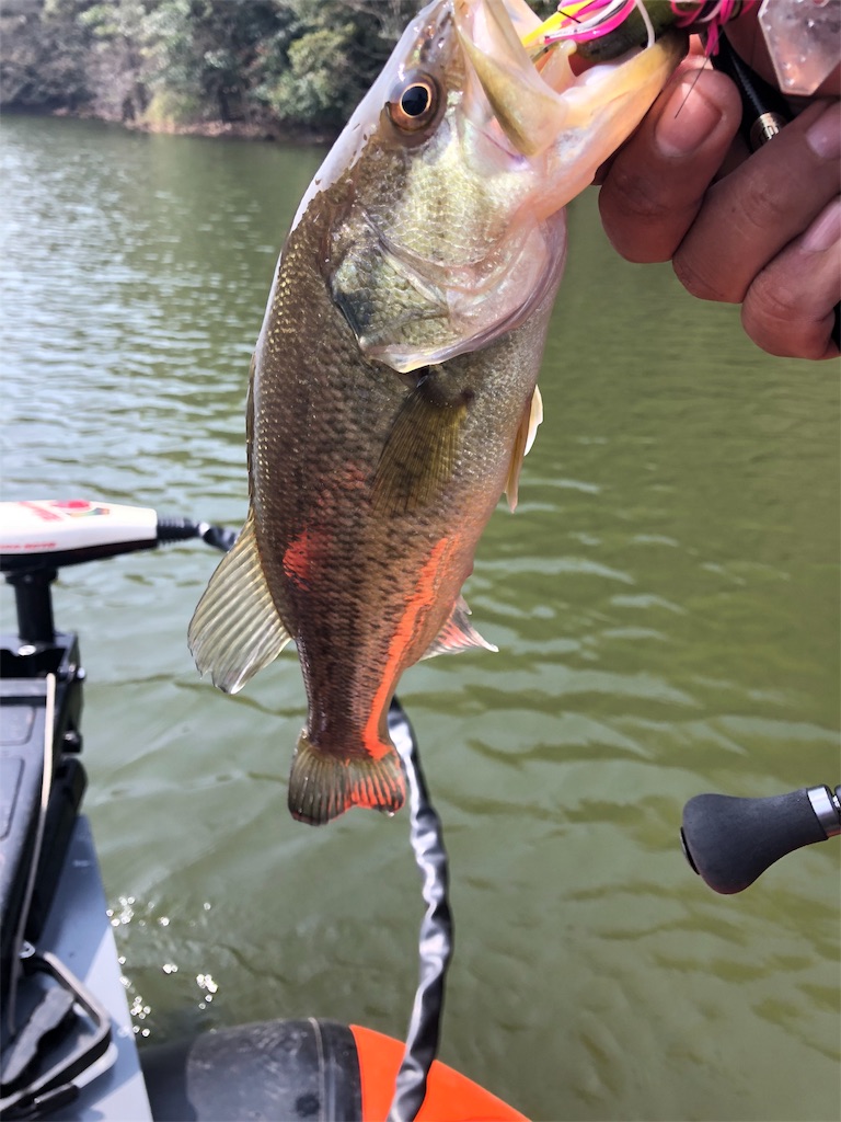 f:id:kingcrew:20180330125416j:image