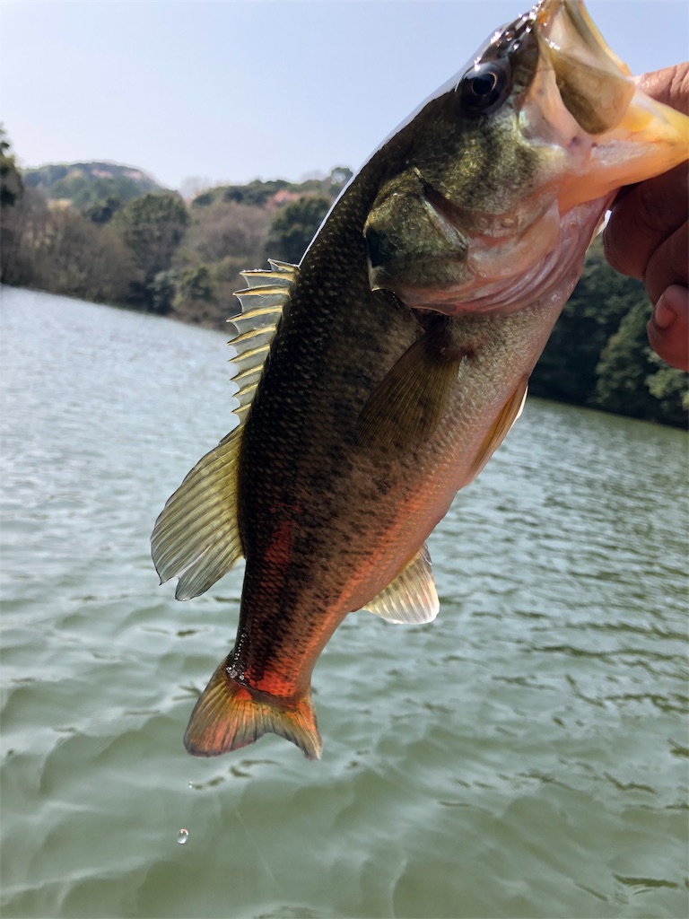 f:id:kingcrew:20180330125604j:image